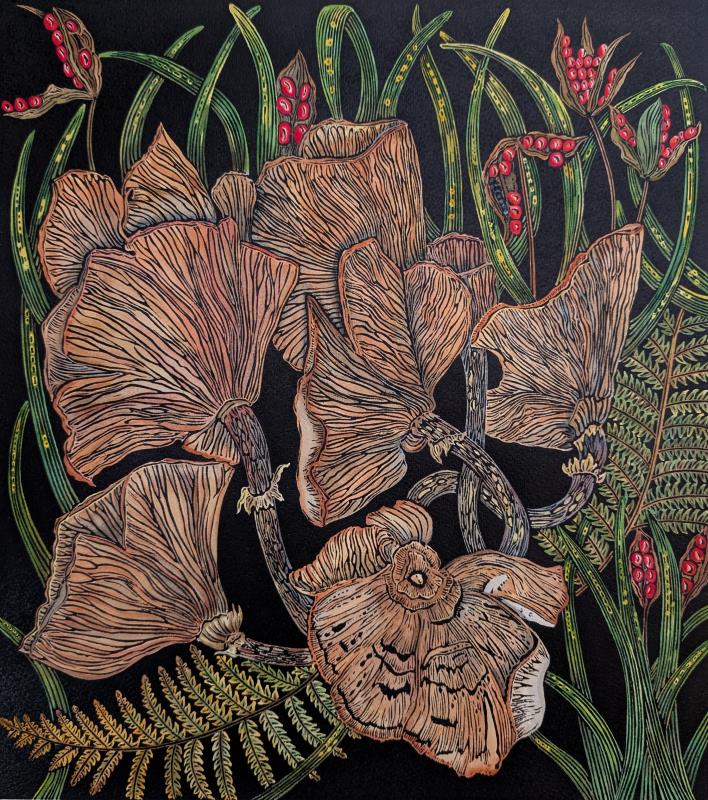 Autumn Garden - Fungi